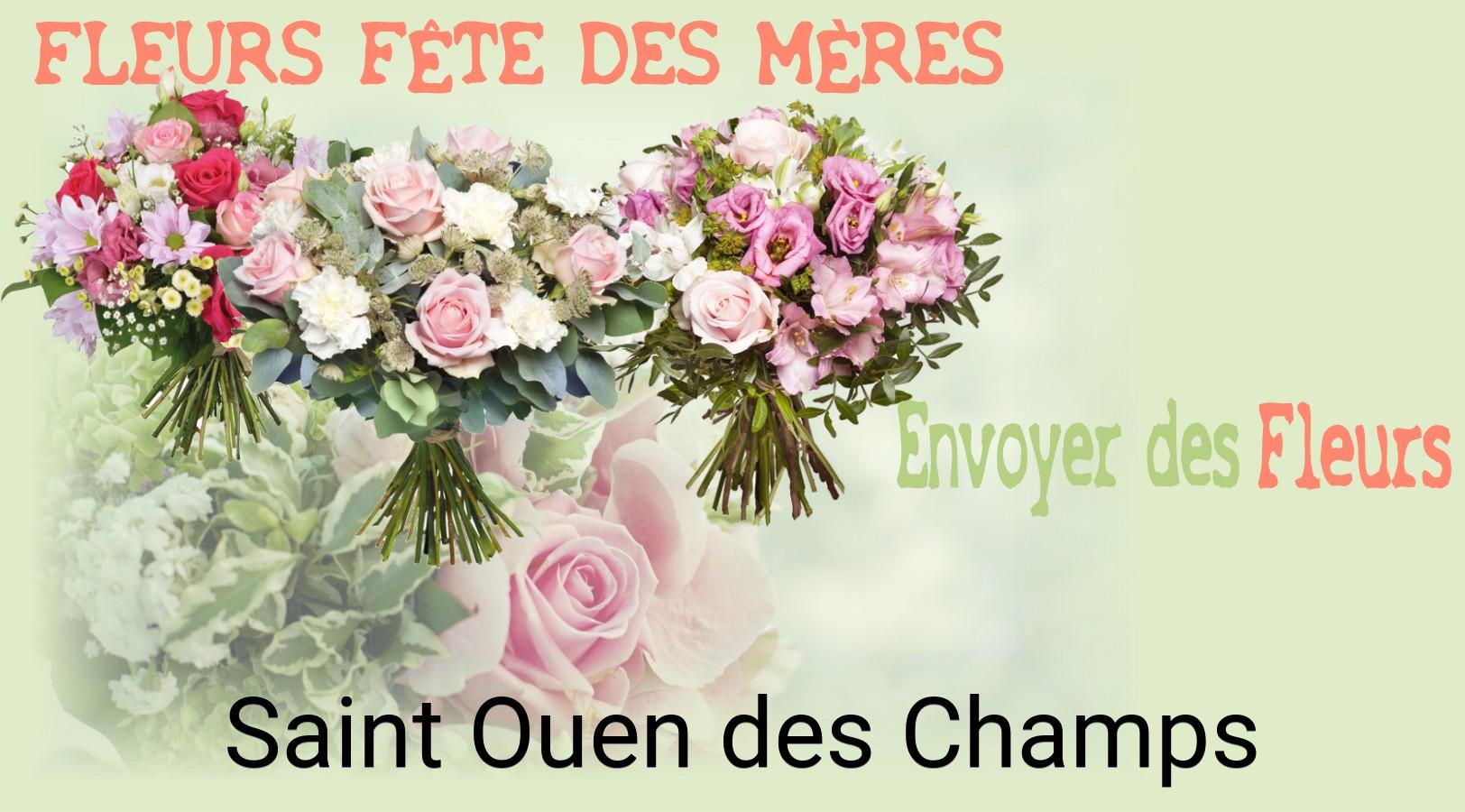 Bouquet de Fête des Mères livré à Saint-Ouen-des-Champs